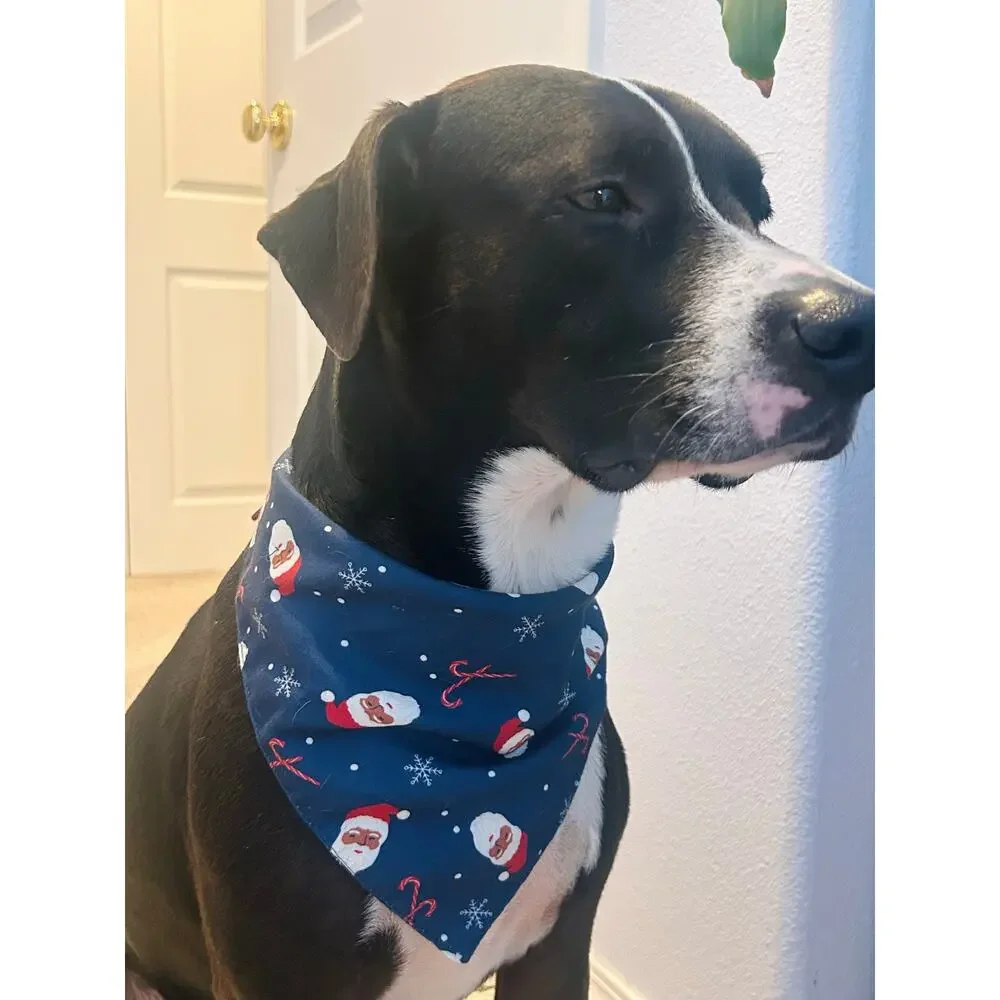 Rainbow Dog Bandana Pride Pet Bandana